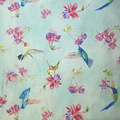Hummingbird Bloom