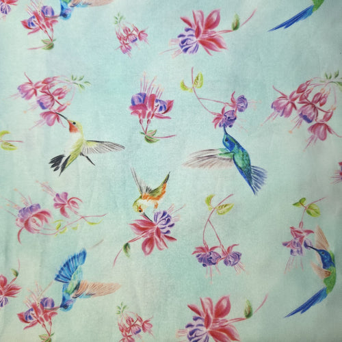 Hummingbird Bloom